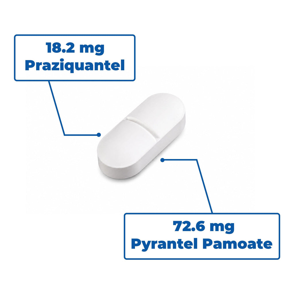 7 Way Broad-Spectrum De-Wormer Chewable Tablets for Dogs & Cat, Pyrantel Pamoate and Praziquantel Formula for Cats and Kittens 2-16 Ibs,50 Count Q18049