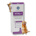 Multivitamin Syrup Nutritional Supplement for Dogs & Cats 200 ml D5526
