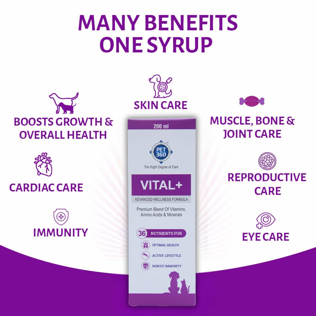 Multivitamin Syrup Nutritional Supplement for Dogs & Cats 200 ml D5526