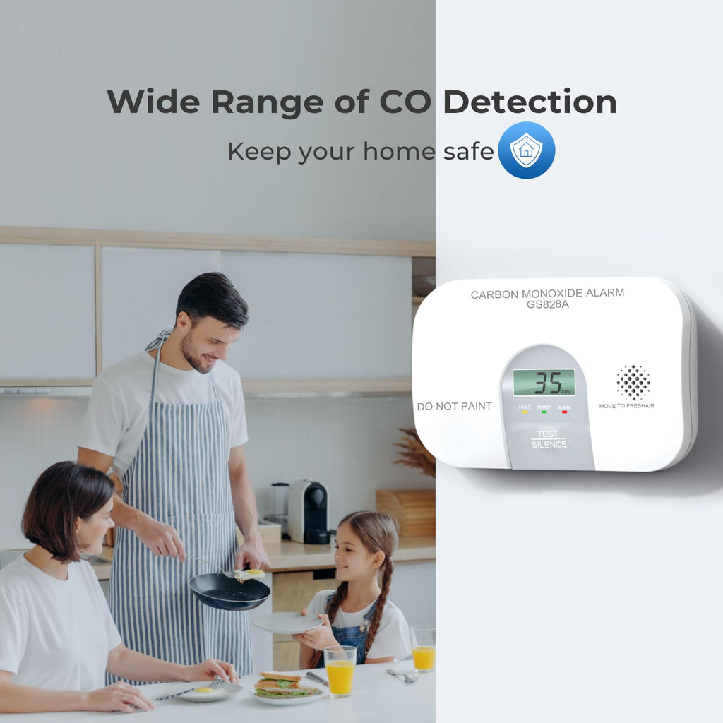 Carbon Monoxide Detector M810265