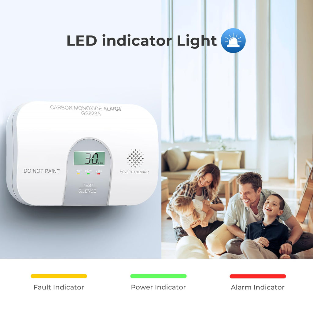 Carbon Monoxide Detector M810265