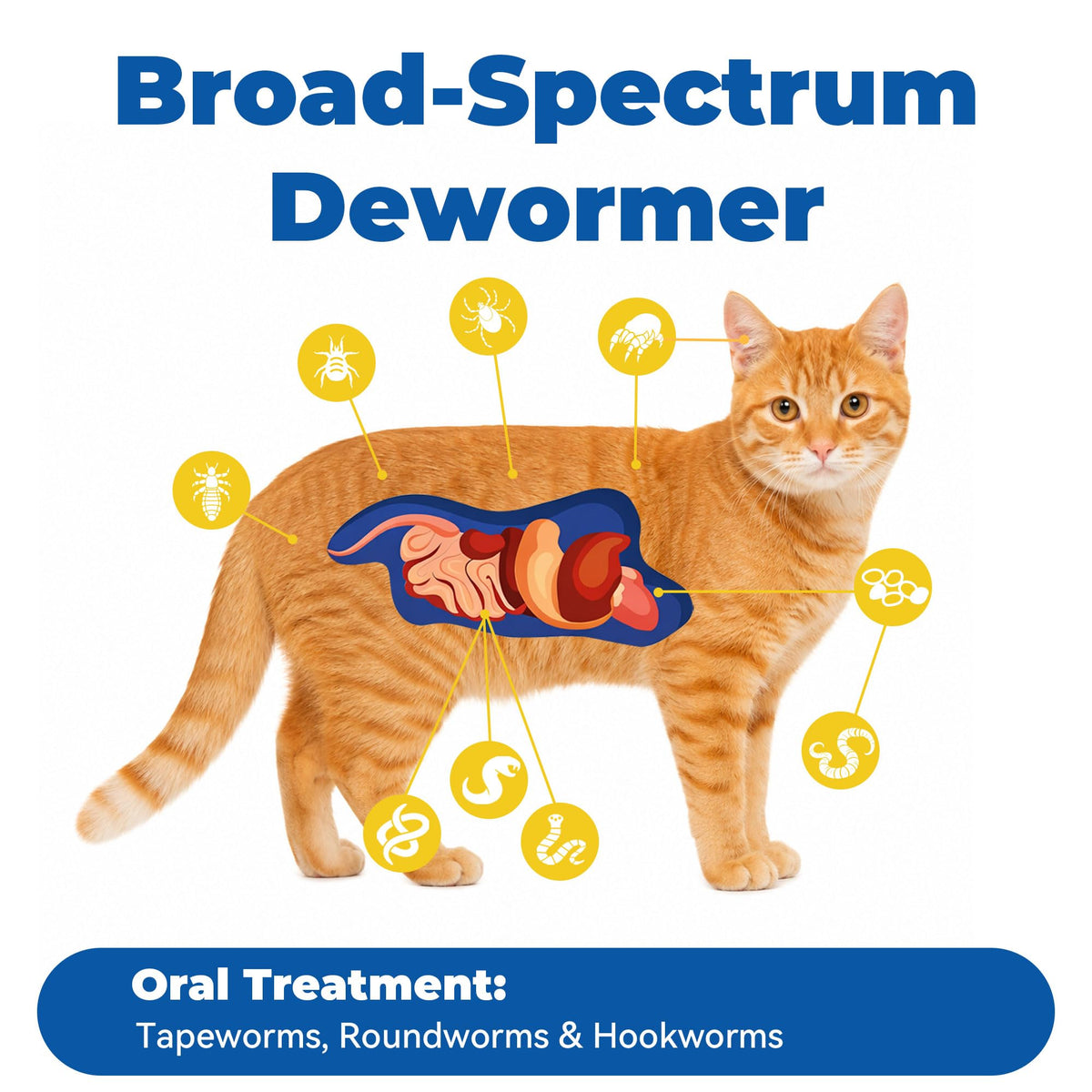 7 Way Broad-Spectrum De-Wormer Chewable Tablets for Dogs & Cat, Pyrantel Pamoate and Praziquantel Formula for Cats and Kittens 2-16 Ibs,50 Count Q18049