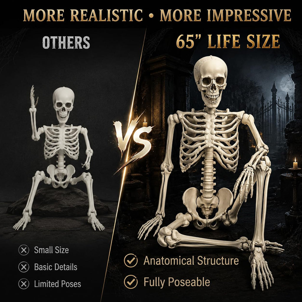 Life Size Poseable Skeleton R62449