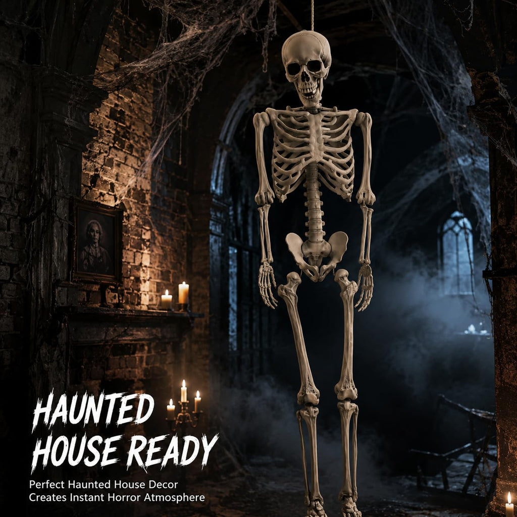 Life Size Poseable Skeleton R62449