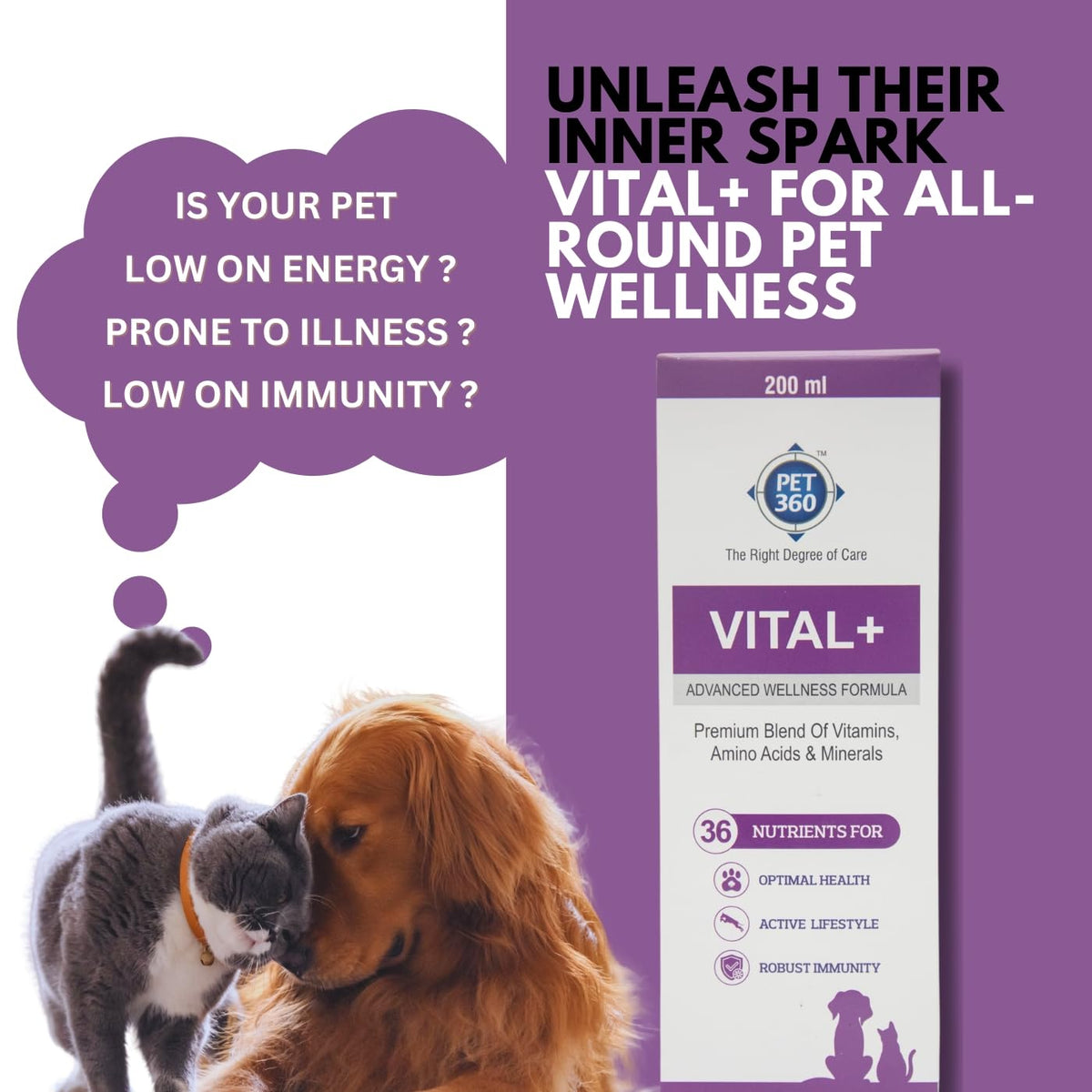 Multivitamin Syrup Nutritional Supplement for Dogs & Cats 200 ml D5526