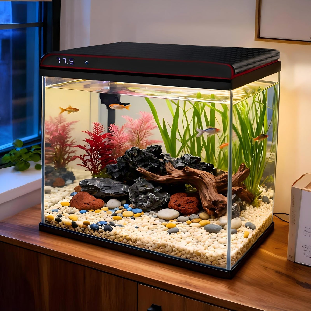 10 Gallon Glass Fish Tank Aquarium Starter Kit O518128