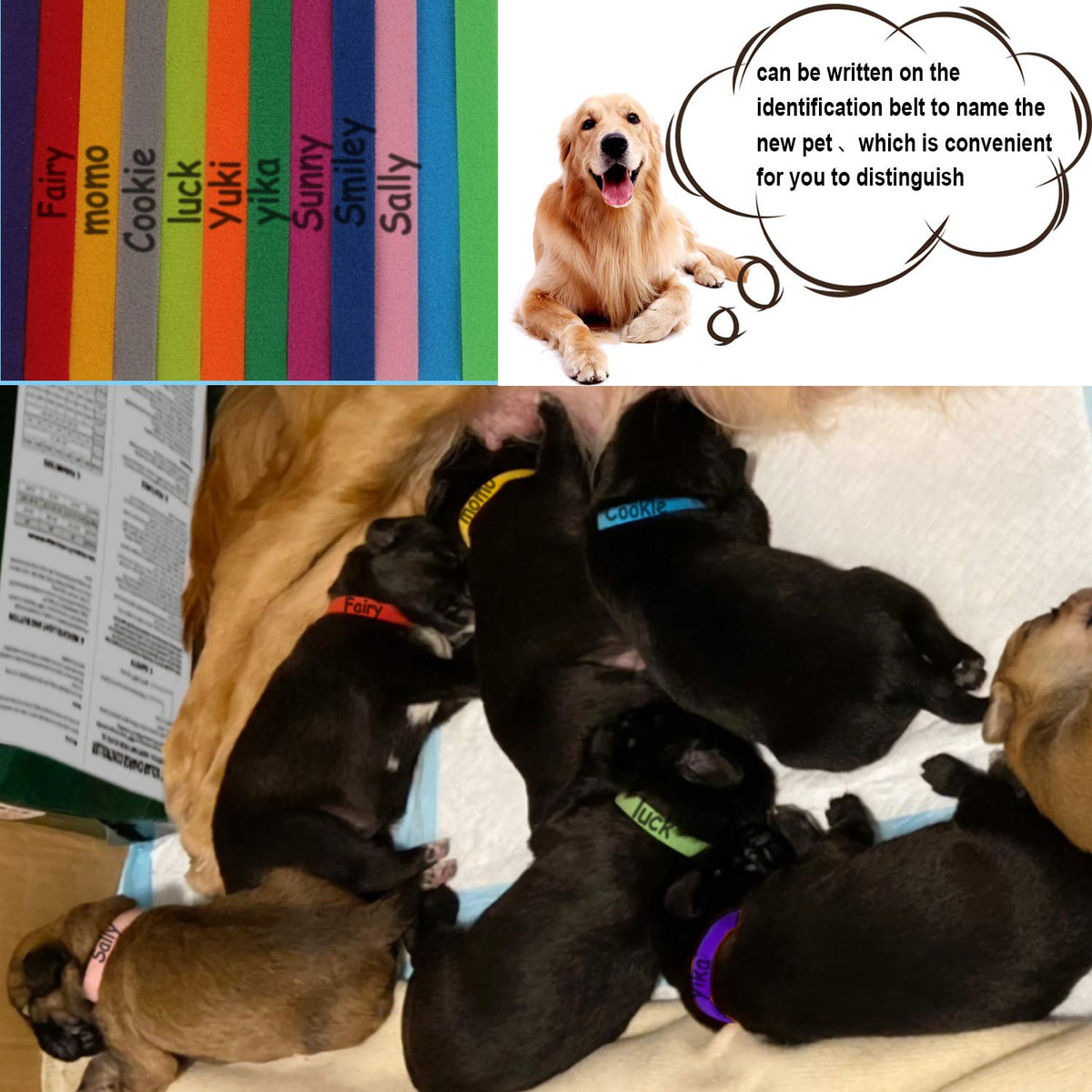15 Pcs Soft Newborn Pet ID Bands E1957