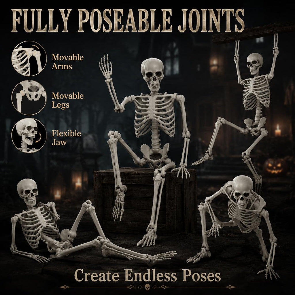Life Size Poseable Skeleton R62449