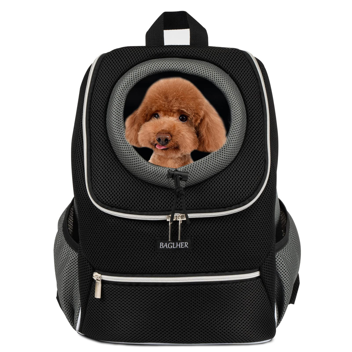 Black Dog Carrier Backpack O558