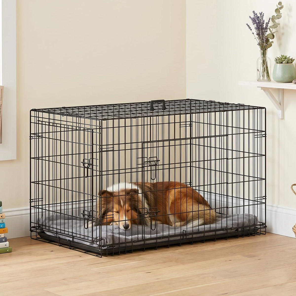 48 Inch Folding Metal Dog Crate A954267