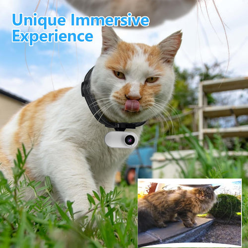 1080P Wireless Mini Pet Camera Collar E7293