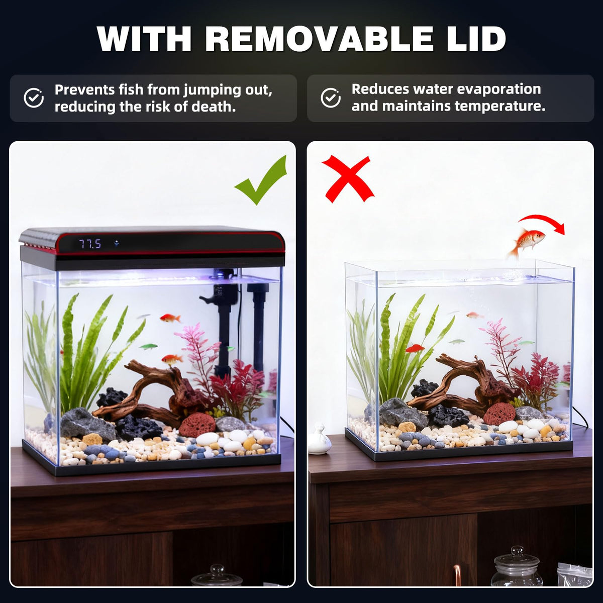 10 Gallon Glass Fish Tank Aquarium Starter Kit O518128