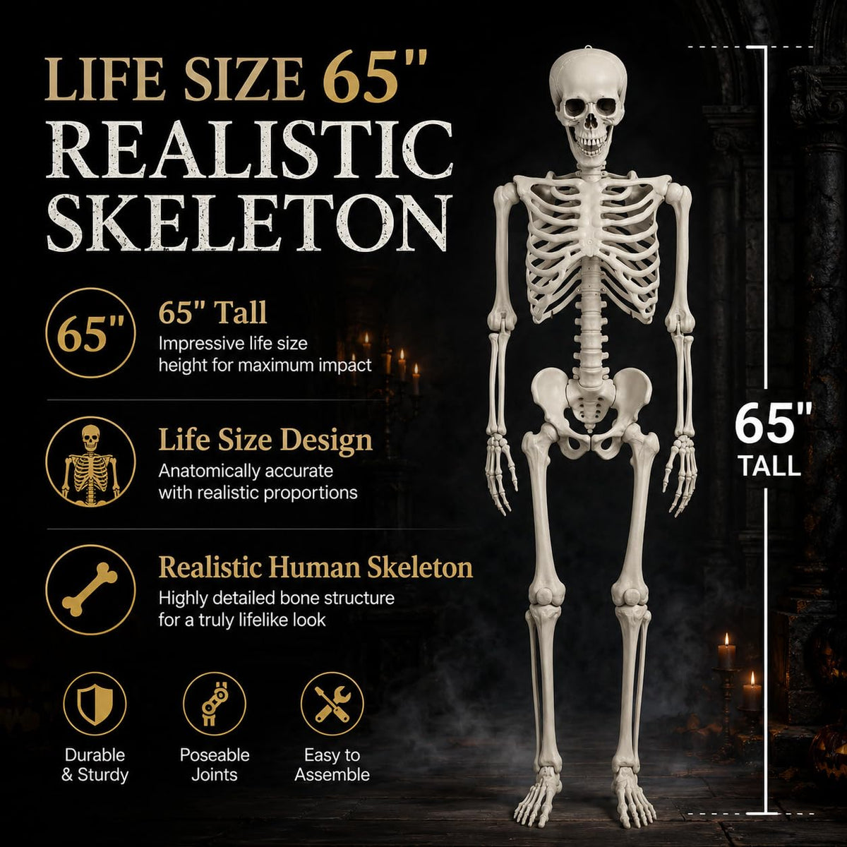 Life Size Poseable Skeleton R62449