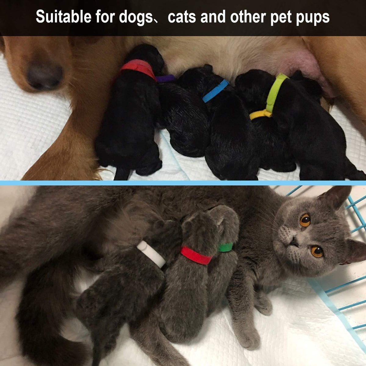 15 Pcs Soft Newborn Pet ID Bands E1957