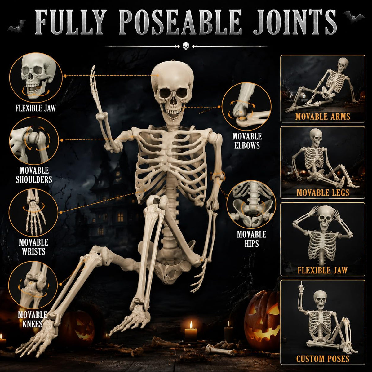Life Size Poseable Skeleton R62449