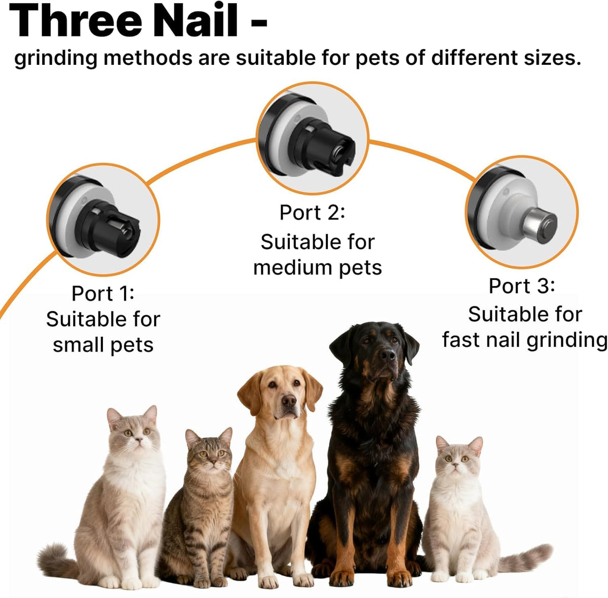 Dog Nail Scratch Board with Hand Strap + Dog Nail Grinder Z76802