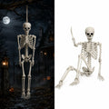 Life Size Poseable Skeleton R62449