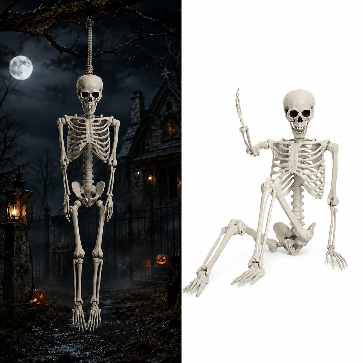 Life Size Poseable Skeleton R62449