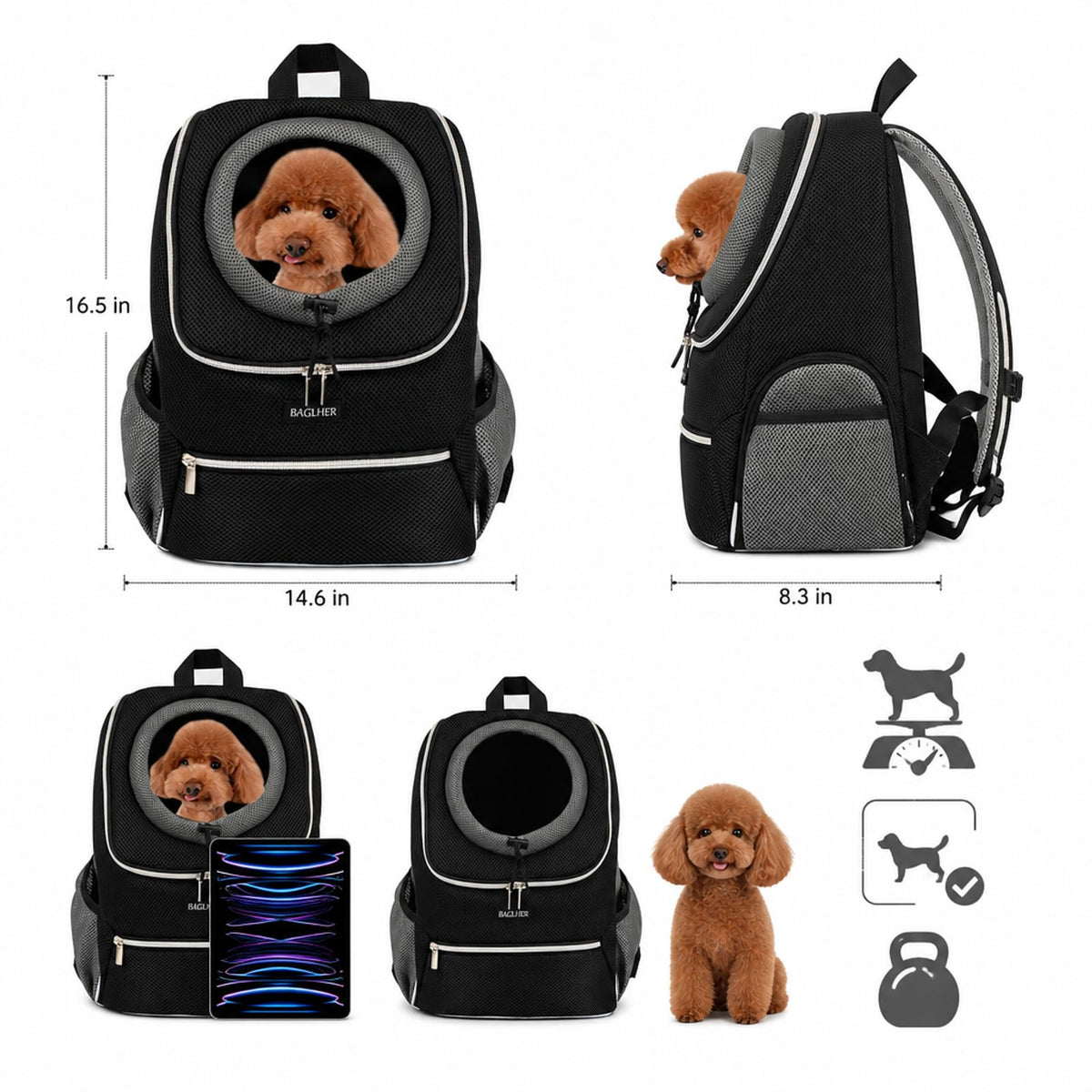 Black Dog Carrier Backpack O558