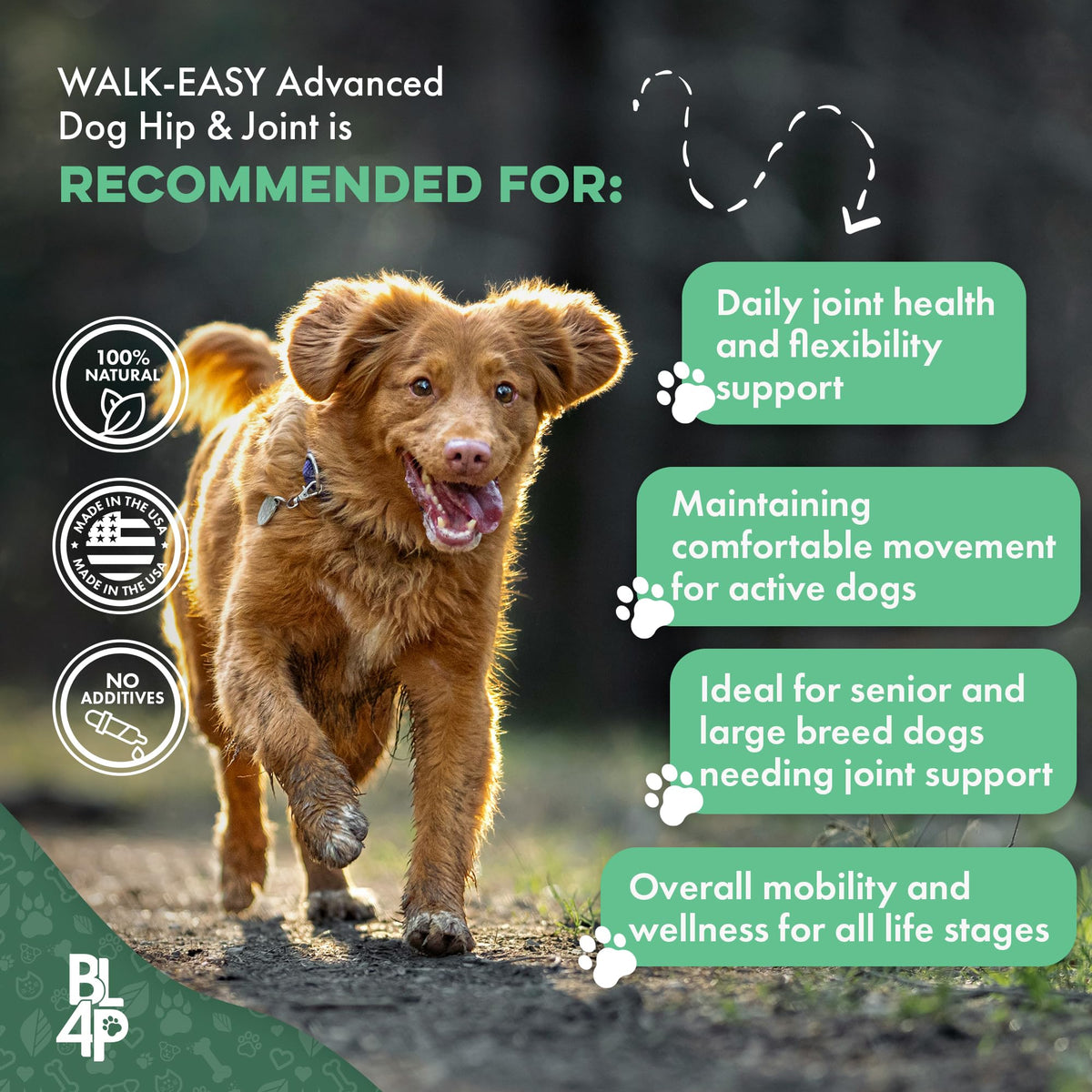 Hip and Joint Supplement for Dogs W6242