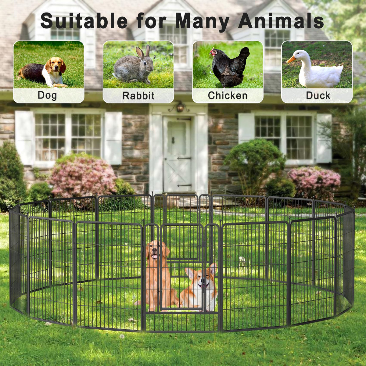 16 Panel 40" Height Dog Playpen with Doors B8896