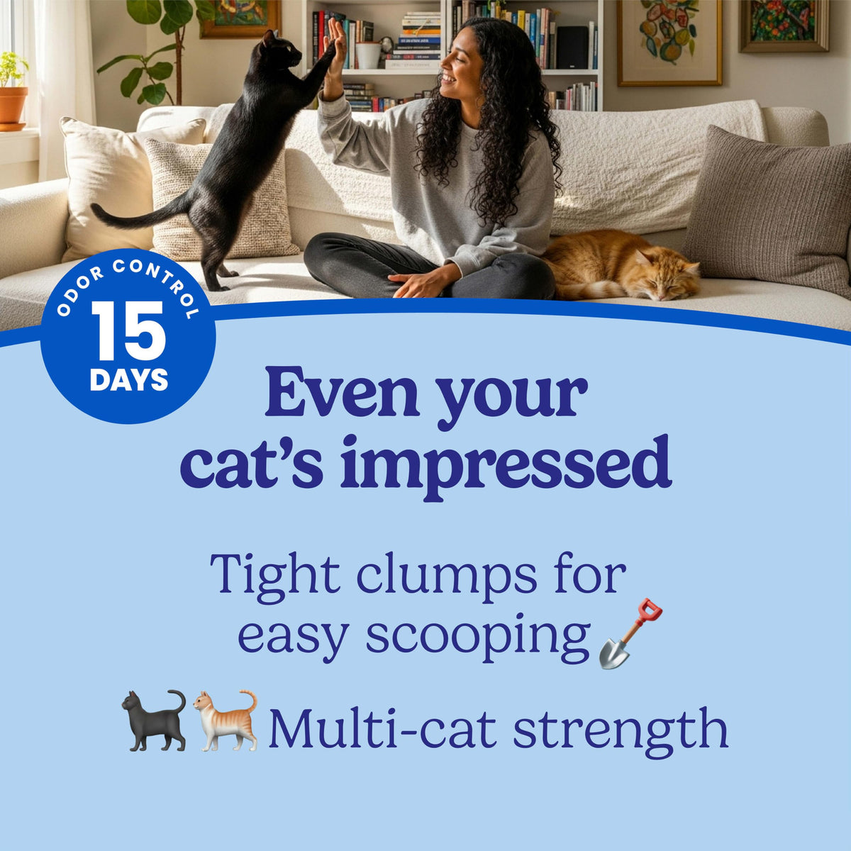 22 lb Clumping Cat Litter R203262