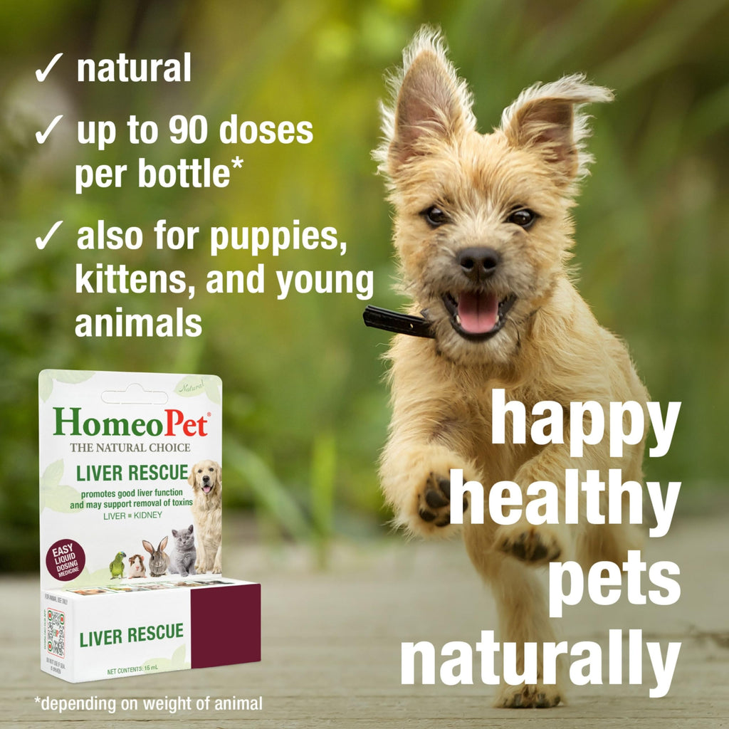 Liver Rescue Supplement for Dogs and Cats 15 Milliliters U4732