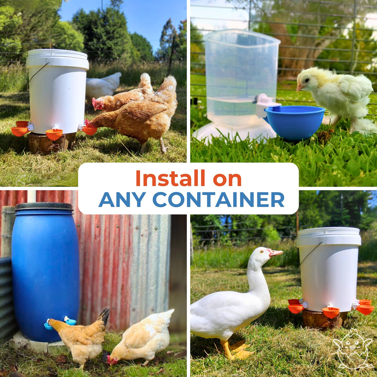 Blue Large Automatic Chicken Waterer Cups Pack of 5 D3028