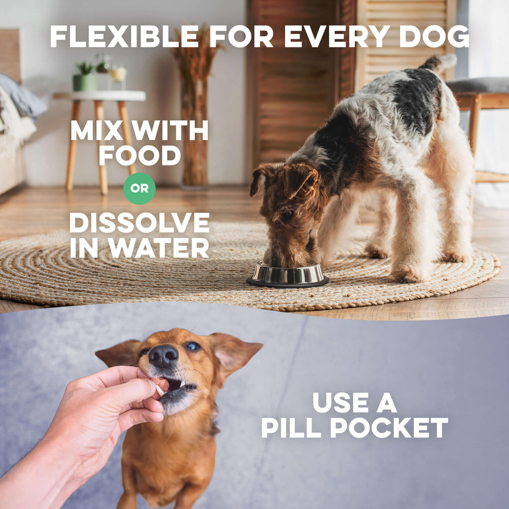 Hip and Joint Supplement for Dogs W6242
