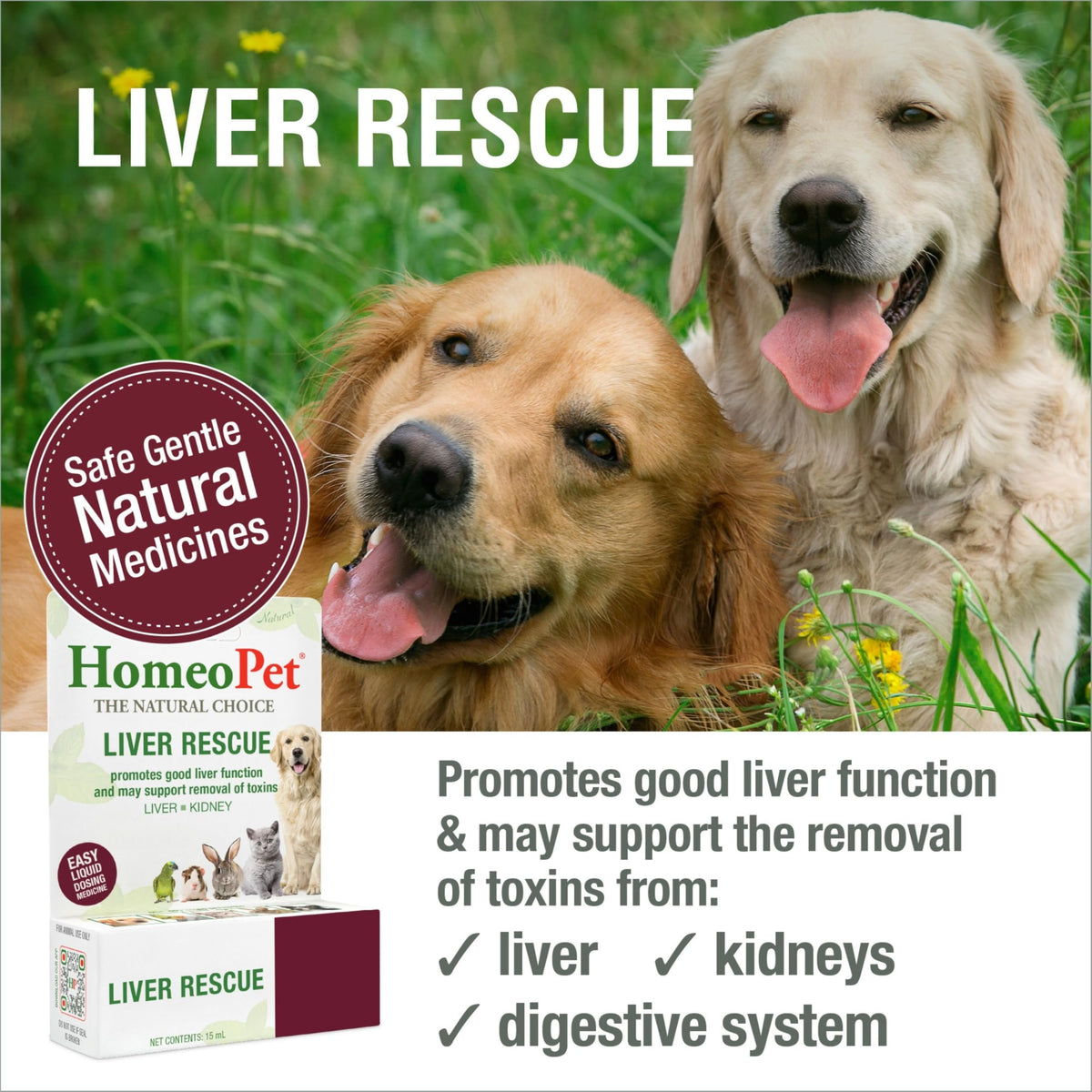 Liver Rescue Supplement for Dogs and Cats 15 Milliliters U4732