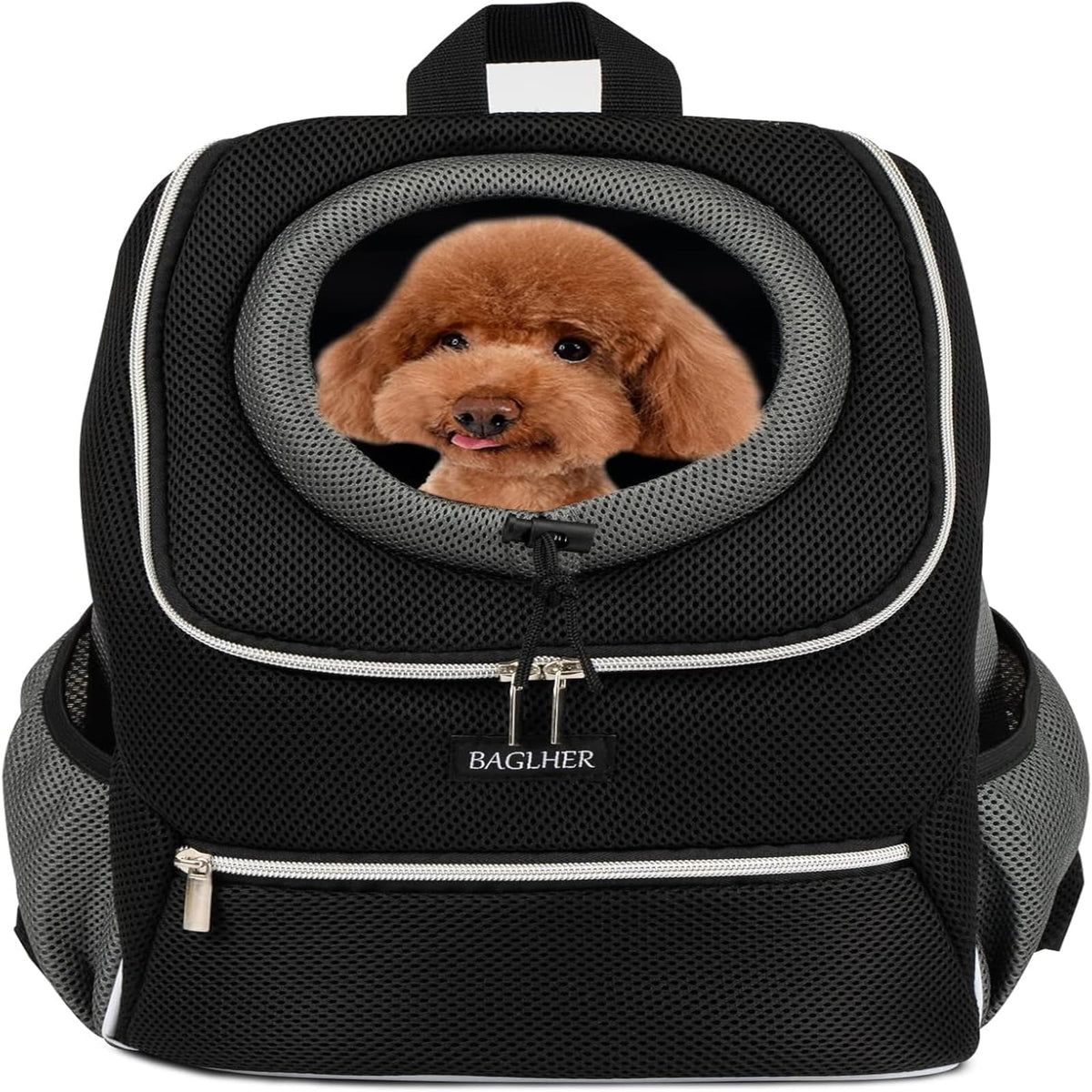 Black Dog Carrier Backpack O558