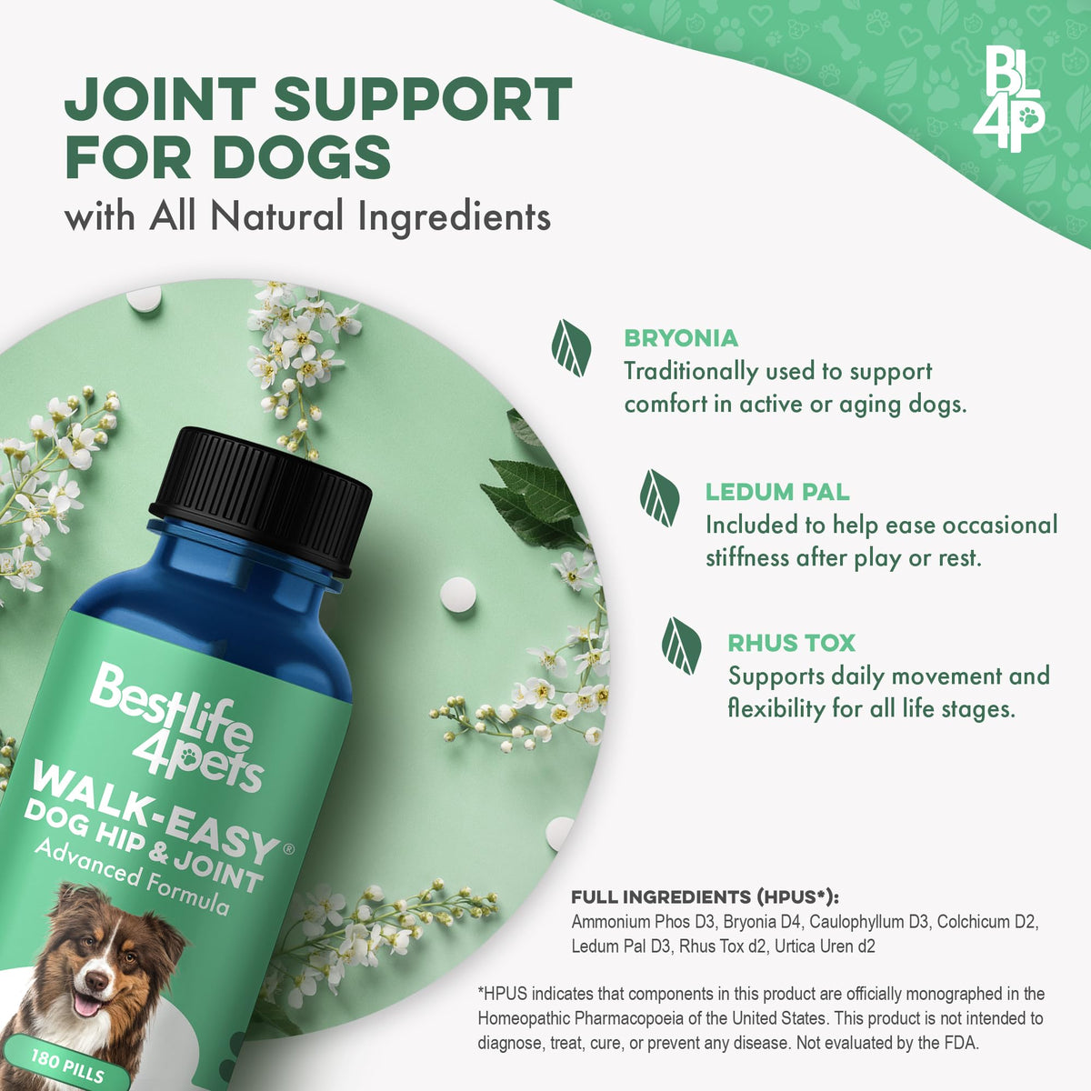 Hip and Joint Supplement for Dogs W6242
