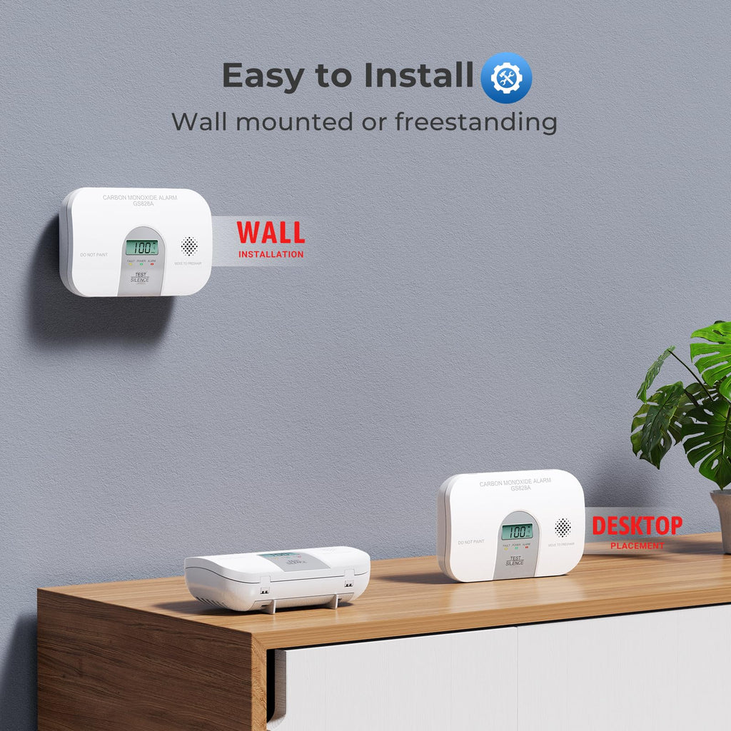 Carbon Monoxide Detector M810265