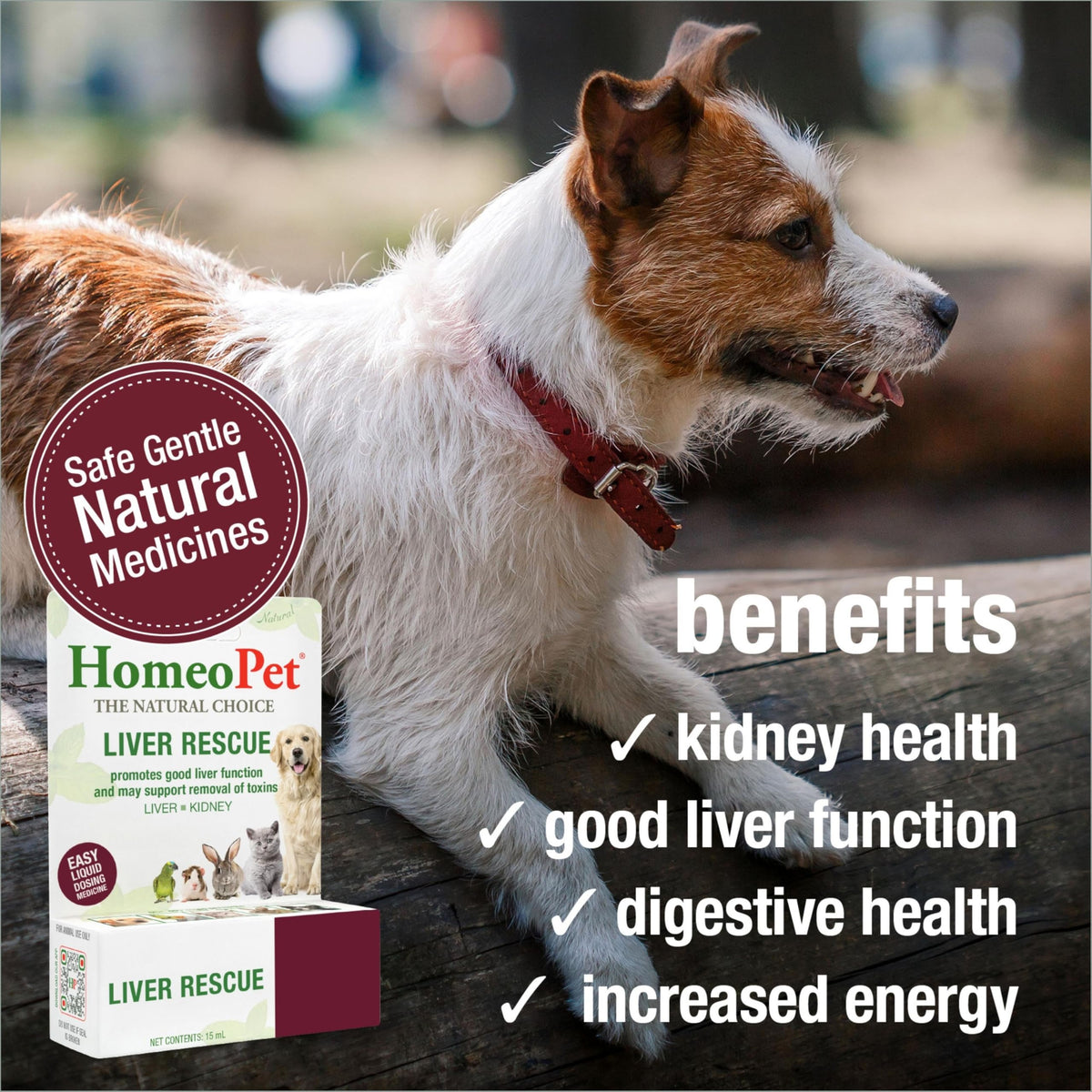 Liver Rescue Supplement for Dogs and Cats 15 Milliliters U4732
